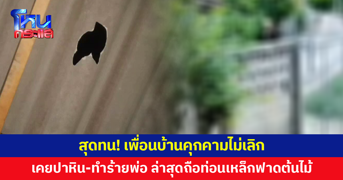 สุดทน! เพื่อนบ้านคุกคามไม่เลิก ถือท่อนเหล็กฟาดต้นไม้ ก่อนหน้านี้เคยทำร้ายพ่อหลายครั้ง