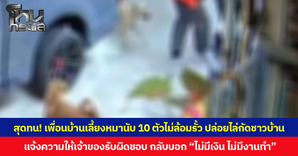 สุดทน! เพื่อนบ้านเลี้ยงหมานับ 10 ตัวไม่ล้อมรั้ว ปล่อยไล่กัดชาวบ้าน แจ้งความให้เจ้าของรับผิดชอบ กลับบอก “ไม่มีเงิน ไม่มีงานทำ”