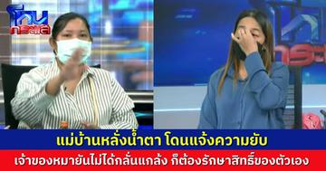 แม่บ้านปล่อยโฮ เจ้าของหมาแจ้งความยับ สุดงงรับงานมาเฝ้าหมา พาสามีมานอนเป็นเพื่อน โดนหาว่าบุกรุก