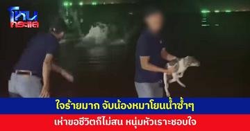 หนุ่มจับน้องหมาโยนน้ำ ว่ายกลับมายังโดนซ้ำ เห่าขอชีวิตก็ไม่สน