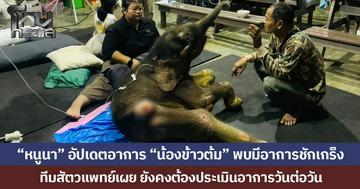 “หนูนา” อัปเดตอาการ “น้องข้าวต้ม” พบมีอาการชักเกร็ง ทีมสัตวแพทย์เผย ยังคงต้องประเมินอาการวันต่อวัน