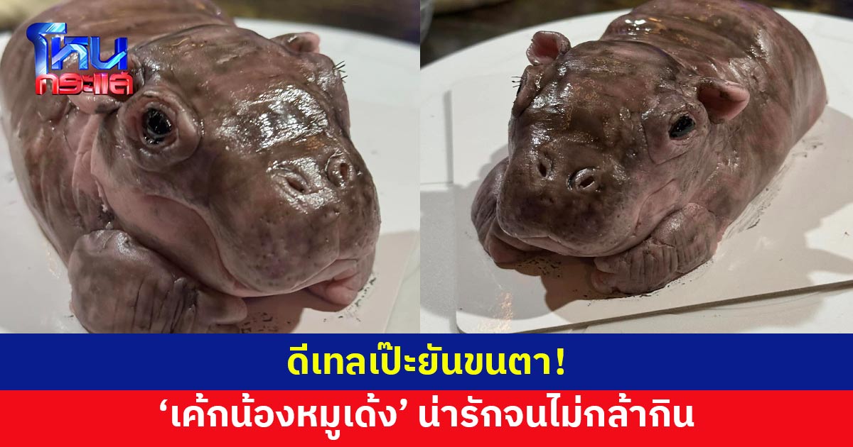 ทำถึงมาก! 'เค้กน้องหมูเด้ง' ดีเทลแน่นยันขนตา เหมือนเป๊ะจนไม่กล้ากิน
