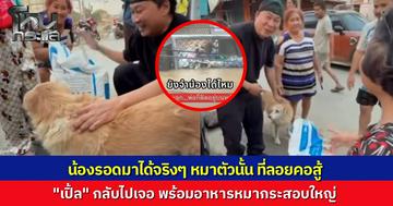 ใจฟู "เปิ้ล นาคร"กลับไปที่หาดใหญ่หลังน้ำลด เจอ “เจ้าแพง (หรือแนง) สุนัขที่ลอยคอติดกองขยะ น้องรอดมาได้จริงๆ