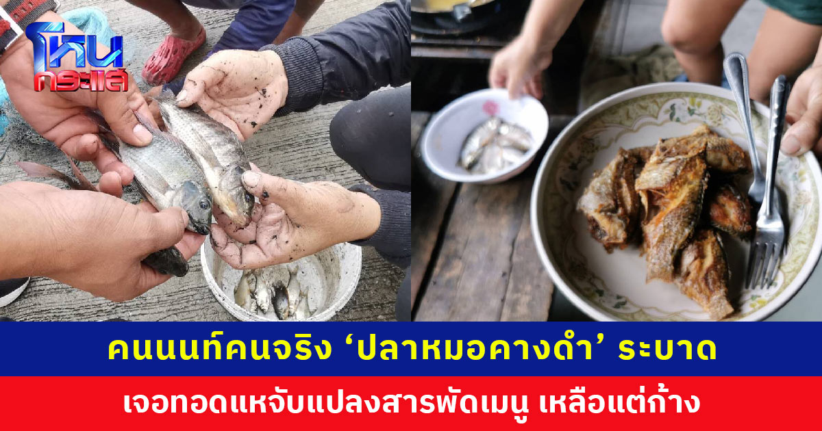 อย่ามาเก่งกับคนนนท์! ปลาหมอคางดำ’ ระบาด เจอจับทำแดดเดียว-ทอดน้ำปลา เหลือแต่ก้าง ชาวบ้านยันเนื้อดีรสชาติอร่อย กินมาตลอดยังไม่พบว่าเป็นอันตราย