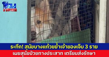 สุนัขบางแก้ว ขย้ำเจ้าของเจ็บ 3 ราย คาบ้าน เผยสุนัขป่วยทางประสาท เตรียมส่งรักษา