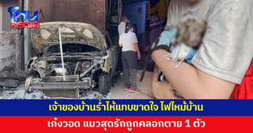เจ้าของบ้านร่ำไห้แทบขาดใจ ไฟไหม้บ้าน แมวสุดรักถูกคลอกตาย