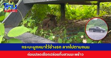 รถกระบะผูกหมาไว้ข้างรถ ลากไปตามถนน ก่อนปลดเชือกปล่อยทิ้งสวนมะพร้าว พลเมืองดีหาข้าวให้กินแต่หมายังตื่นกลัว