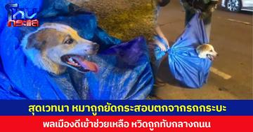 สุดเวทนา หมาถูกยัดกระสอบตกจากรถกระบะ  พลเมืองดีเข้าช่วยเหลือ หวิดถูกทับกลางถนน