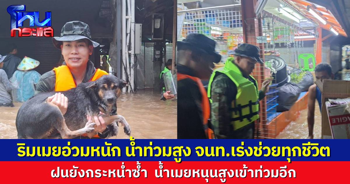 ทหารช่วยน้องหมาออกมาจากน้ำท่วม หลังน้ำท่วมตลาดริมเมย ชาวบ้านอ่วมขนของหนีน้ำ แม้แต่ ตม.ยังต้องเร่งอพยพแรงงานผิดกฎหมายไปอยู่ที่ศูนย์กักกันอื่น