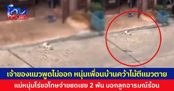 เจ้าของแมวพูดไม่ออก หนุ่มเพื่อนบ้านคว้าไม้ตีแมวตาย  แม่หนุ่มโร่ขอโทษจ่ายชดเชย 2 พัน บอกลูกอารมณ์ร้อน
