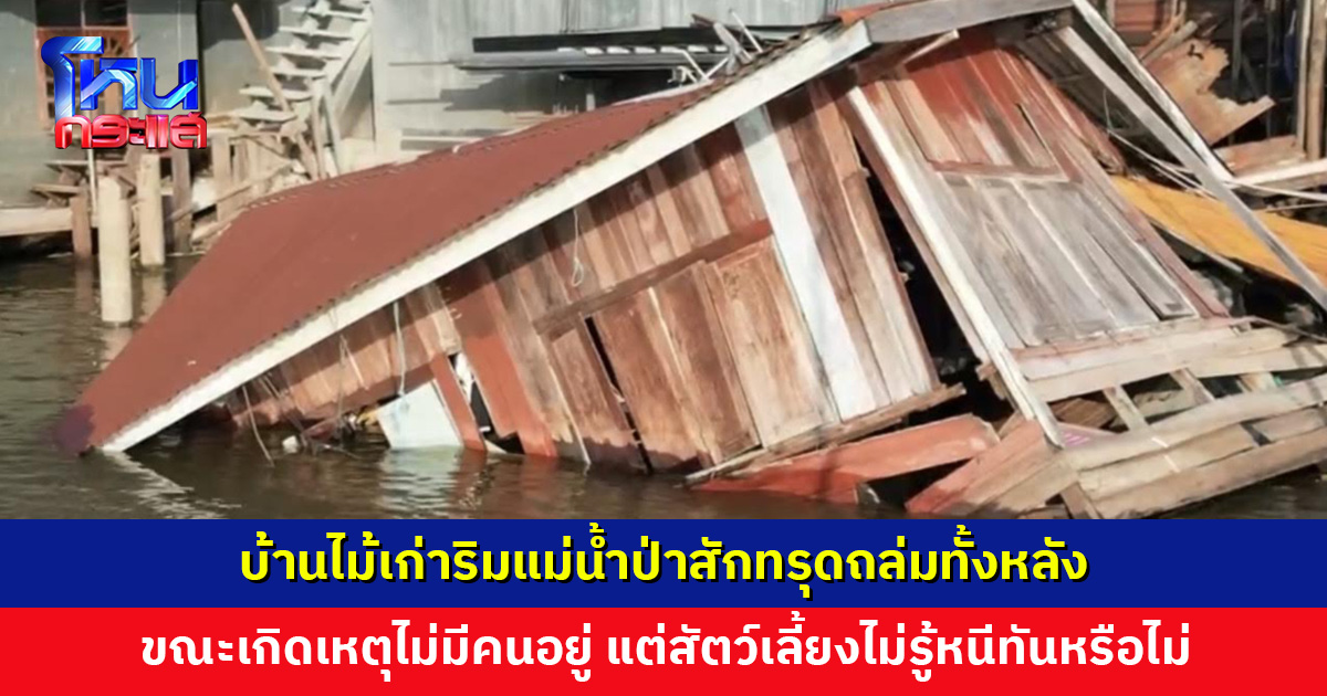 บ้านไม้เก่าริมแม่น้ำป่าสักทรุดถล่มทั้งหลัง ขณะเกิดเหตุไม่มีคนอยู่ แต่สัตว์เลี้ยงยังไม่รู้ชะตากรรม