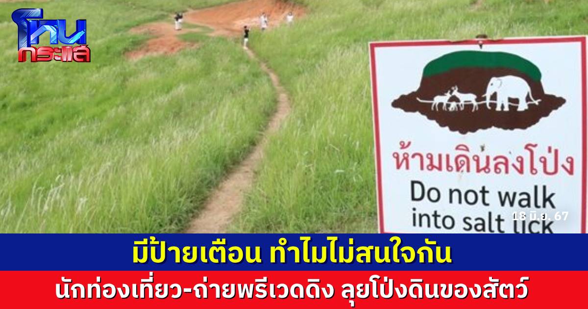 วิจารณ์สนั่น นักท่องเที่ยว-คณะพรีเวดดิง เดินลุยโป่งดินเขาใหญ่ ไม่สนป้ายเตือน ชี้กระทบสัตว์ป่า และเป็นอันตรายต่อตัวเอง