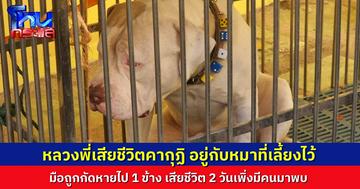 หลวงพี่มรณภาพในกุฏิ อยู่กับหมาที่เลี้ยงไว้ มือหายไป 1 ข้าง เด็กวัดผวา หลวงพี่ถูกกัดหลายครั้งแล้ว แต่ไม่คิดว่าจะหนักขนาดนี้