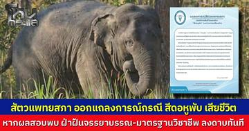 สัตวแพทยสภาออกแถลงปม "สีดอหูพับ" ล้มระหว่างเคลื่อนย้าย เร่งรวบรวมหลักฐานตรวจสอบ หากพบฝ่าฝืนจรรยาบรรณพร้อมดำเนินการเด็ดขาด