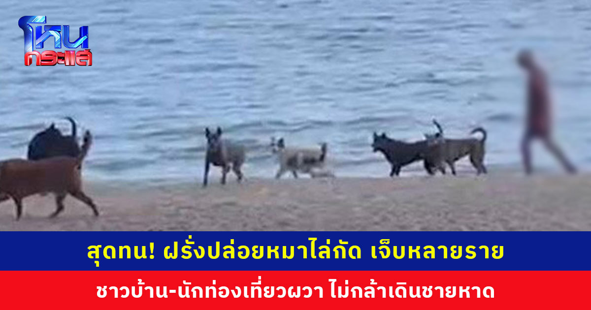 สุดทน! ฝรั่งปล่อยหมาไล่กัด เจ็บหลายราย ชาวบ้าน-นักท่องเที่ยวผวาไม่กล้าเดินชายหาด ตำรวจไปหาถึงบ้าน แต่ไม่ยอมออกมาคุย เตรียมออกหมายเรียก
