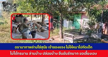 โซเชียลสะเทือนใจภาพสุนัขแม่ลูกอ่อนถูกล่ามโซ่สั้นติดกิ่งมะม่วง เจ้าหน้าที่บุกตรวจสอบ ได้ฟังเรื่องจริงจากเจ้าของ ไม่ได้ทรมาน ล่ามกันไม่ให้กัดเด็กนักเรียน เจ้าของน้ำตาคลอยืนยันขอเลี้ยงเอง