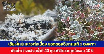 เชียงใหม่หนาวต่อเนื่อง  ยอดดอยอินทนนท์ 1 องศาฯ  เกิดน้ำค้างแข็งครั้งที่ 40 ทุบสถิติเยอะสุดในรอบ 10 ปี