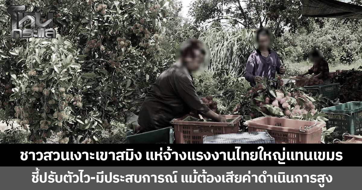 ชาวสวนเงาะเขาสมิง แห่จ้างแรงงานไทยใหญ่แทนเขมร ชี้ปรับตัวไว-มีประสบการณ์ แม้ต้องเสียค่าดำเนินการสูง
