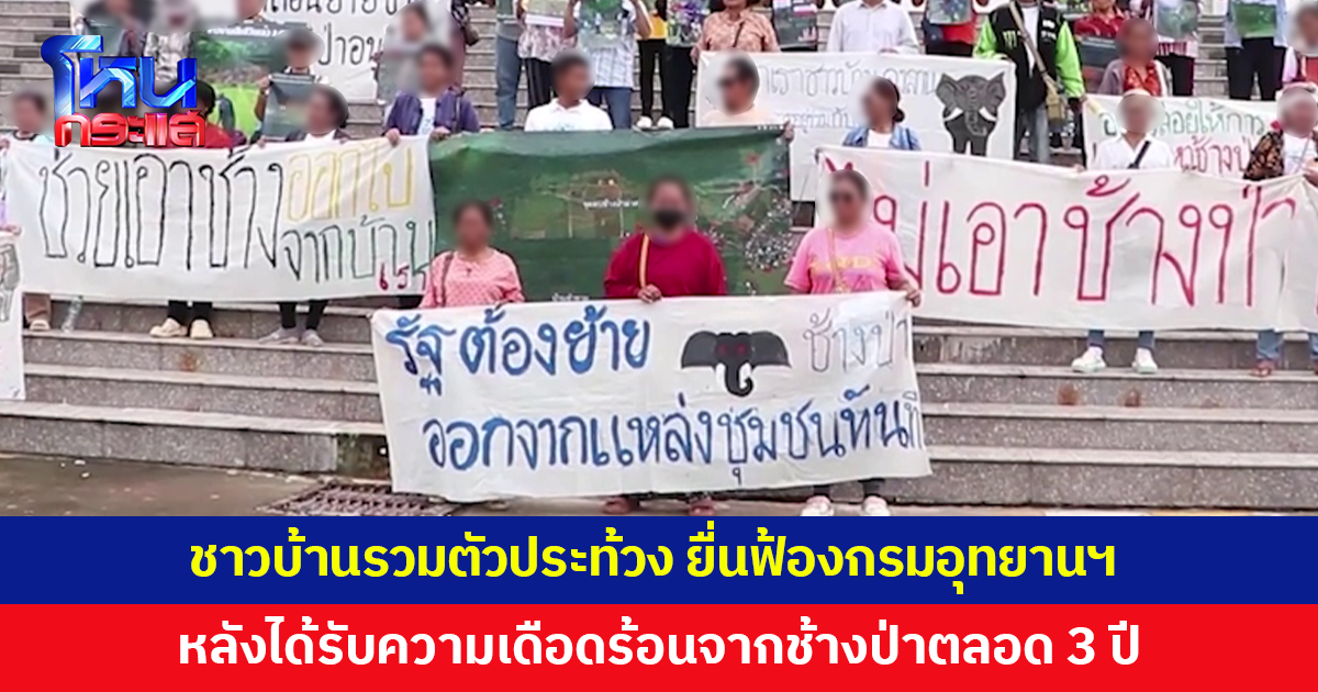 ชาวบ้านรวมตัวประท้วง ยื่นฟ้องกรมอุทยานฯ หลังได้รับความเดือดร้อนจากช้างป่าตลอด 3 ปี