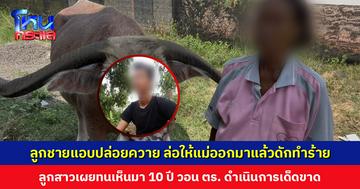 ลูกชายวางแผนปล่อยควาย ล่อให้แม่ออกมาแล้วดักทำร้าย ลูกสาววอน ตร. ดำเนินการขั้นเด็ดขาด