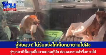 กู้ภัยผวา! ได้รับแจ้งให้เก็บหมาตายไปฝัง จู่ๆ หมาก็ฟื้นลุกขึ้นมาบนรถกู้ภัย ก่อนลงรถแล้ววิ่งหายไป