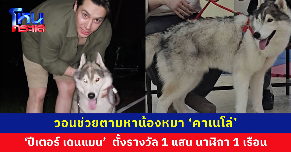 ‘ปีเตอร์ เดนแมน’ ตามหาน้องหมา ‘คาเนโล่’ ตั้งรางวัล 1 แสน นาฬิกา 1 เรือน