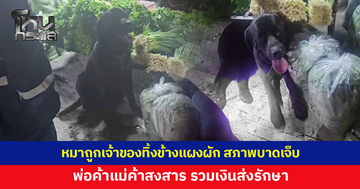 เจ้าของเอาน้องหมามาทิ้งข้างแผงผักหน้าตลาด สภาพบาดเจ็บ พ่อค้าแม่ค้าช่วยกันออกเงินส่งรักษา