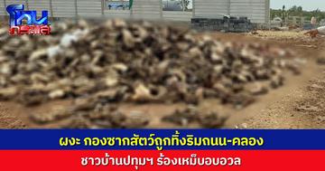 พบกองซากสัตว์ถูกทิ้งริมถนน-คลอง จ.ปทุมฯ ชาวบ้านไม่ทน แจ้งปศุสัตว์เร่งหาทางกำจัด