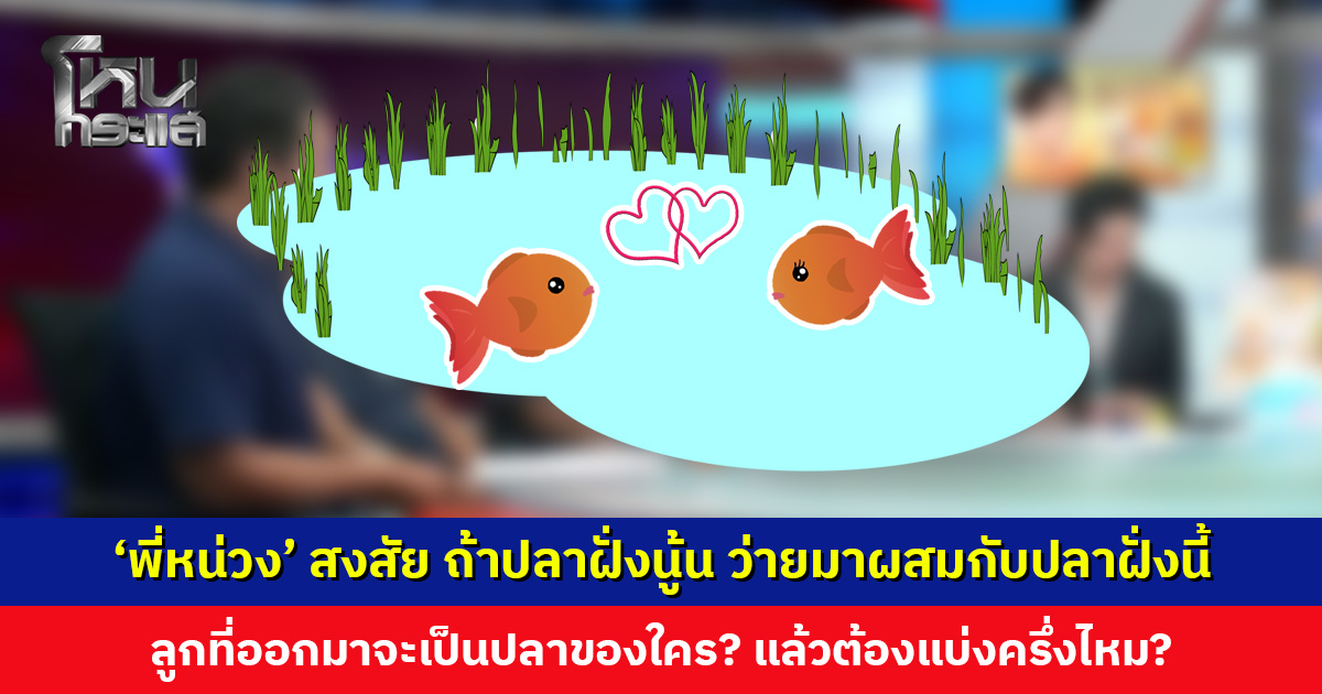 พี่หน่วง’ สงสัย ถ้าปลาฝั่งนู้น ว่ายมาผสมกับปลาฝั่งนี้ ลูกที่ออกมาจะเป็นปลาของใคร?