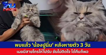 พบแล้ว 'น้องปูนิ่ม' แมวเปอร์เซียที่ถูกอุ้มหาย เจ้าของยันไม่เอาความ เผยมีสายโทรให้ไปรับคืน
