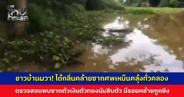 ชาวบ้านผวา! ได้กลิ่นคล้ายซากศพเหม็นคลุ้งทั่วคลอง ตรวจสอบพบซากตัวเงินตัวทองกว่า 10 ตัว