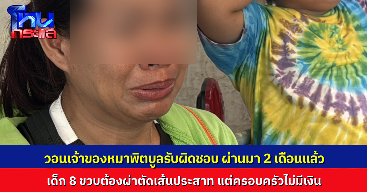 พ่อแม่สุดช้ำ ลูกสาววัย 8 ขวบถูกหมาพิตบูลกัด เจ็บหนัก ใบหน้าเบี้ยว หูไม่ได้ยินผ่านมา / เดือน เจ้าของหมายังช่วยมาแค่ 4 พัน เจรจาค่าเสียหายกันไม่ลงตัว