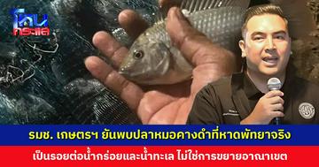 รมช. เกษตรฯ ยืนยัน พบปลาหมอคางดำที่หาดพัทยาจริง ไม่ใช่การขยายอาณาเขต ยังควบคุมสถานการณ์ได้