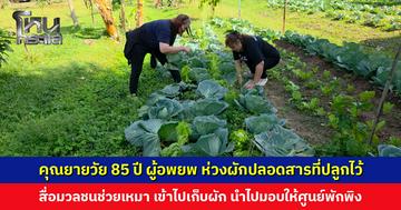 คุณยายวัย 85 ปี ผู้อพยพ ห่วงผักปลอดสารที่ปลูกไว้ สื่อมวลชนช่วยเหมา เข้าไปเก็บผัก นำไปมอบให้ศูนย์พักพิง