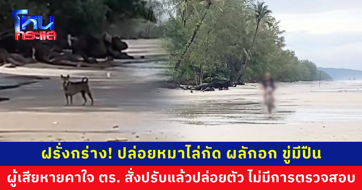 ฝรั่งกร่าง! ปล่อยหมาไล่กัดคน แถมผลักอก ขู่มีปืน ผู้เสียหายคาใจ ตร. สั่งปรับ 1,000 บ. แล้วปล่อยตัว ไม่มีการตรวจสอบประวัติ-วีซ่า
