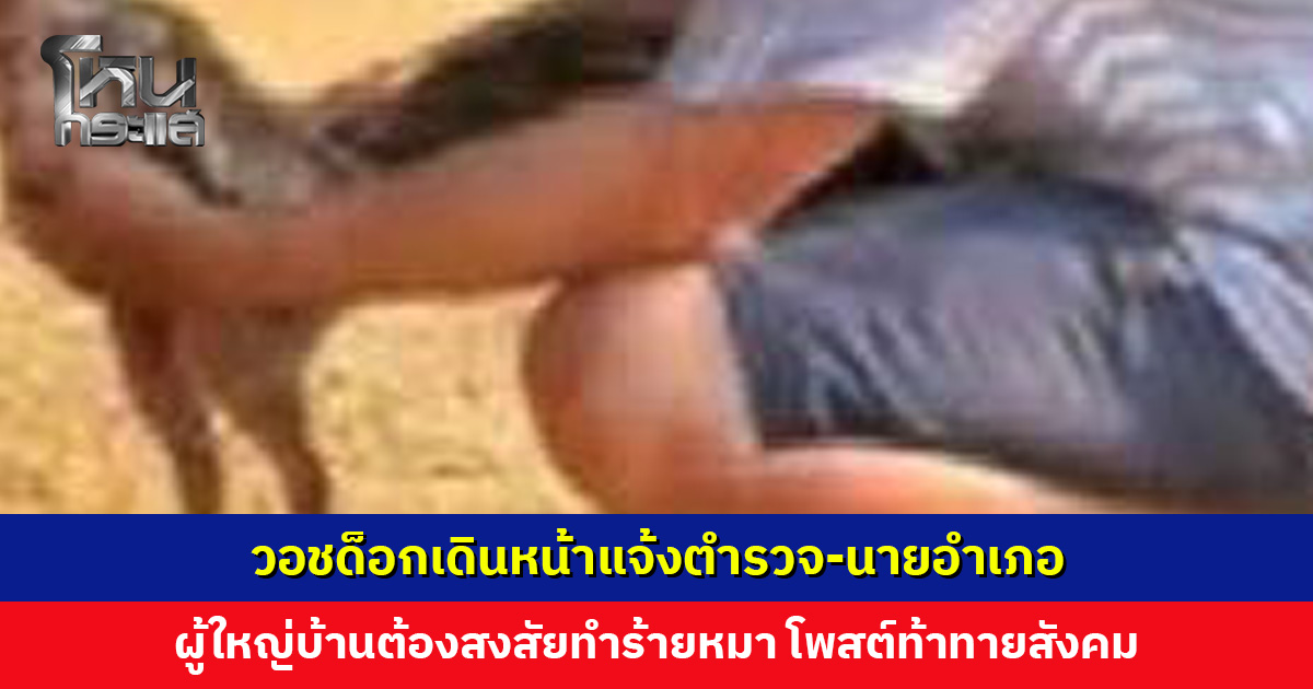 วอชด็อกเดินหน้าแจ้งตำรวจ-นายอำเภอ กรณีผู้ใหญ่บ้านต้องสงสัยทำร้ายหมา ซ้ำยังโพสต์ท้าทายสังคม