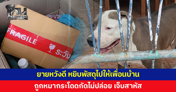 ยายหวังดี หยิบพัสดุไปให้เพื่อนบ้าน ถูกหมากระโดดกัดไม่ปล่อย เจ็บสาหัส