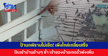 ไม่เข็ด! เพิ่งไกล่เกลี่ยเสร็จ กลับจากโรงพักเจอรั้วพัง ป้านกพิราบปีนเข้าบ้านซ้ำ วงจรปิดจับภาพชัด