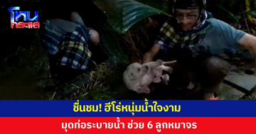 ชื่นชม! ฮีโร่หนุ่มน้ำใจงาม มุดท่อระบายน้ำ ช่วย 6 ลูกหมาจร