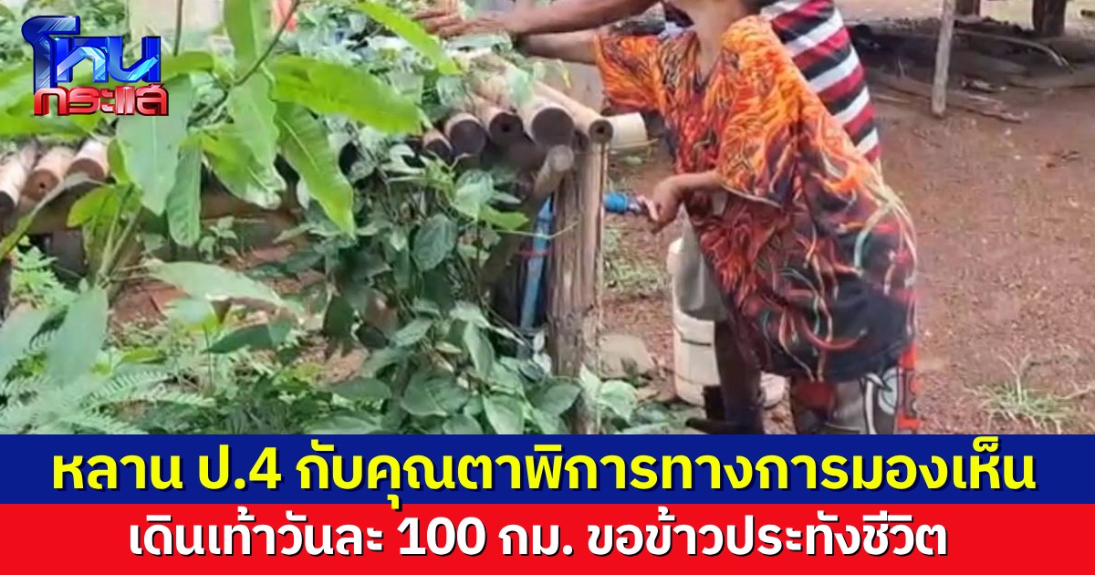 แห่แชร์ หลาน ป.4 กับ คุณตาพิการตาบอดสนิท เดินเท้าเป็น 100 กม. ขอข้าวสารประทังชีวิต ทุกวันนี้ต้องผ่อนบ้านตัวเองอยู่