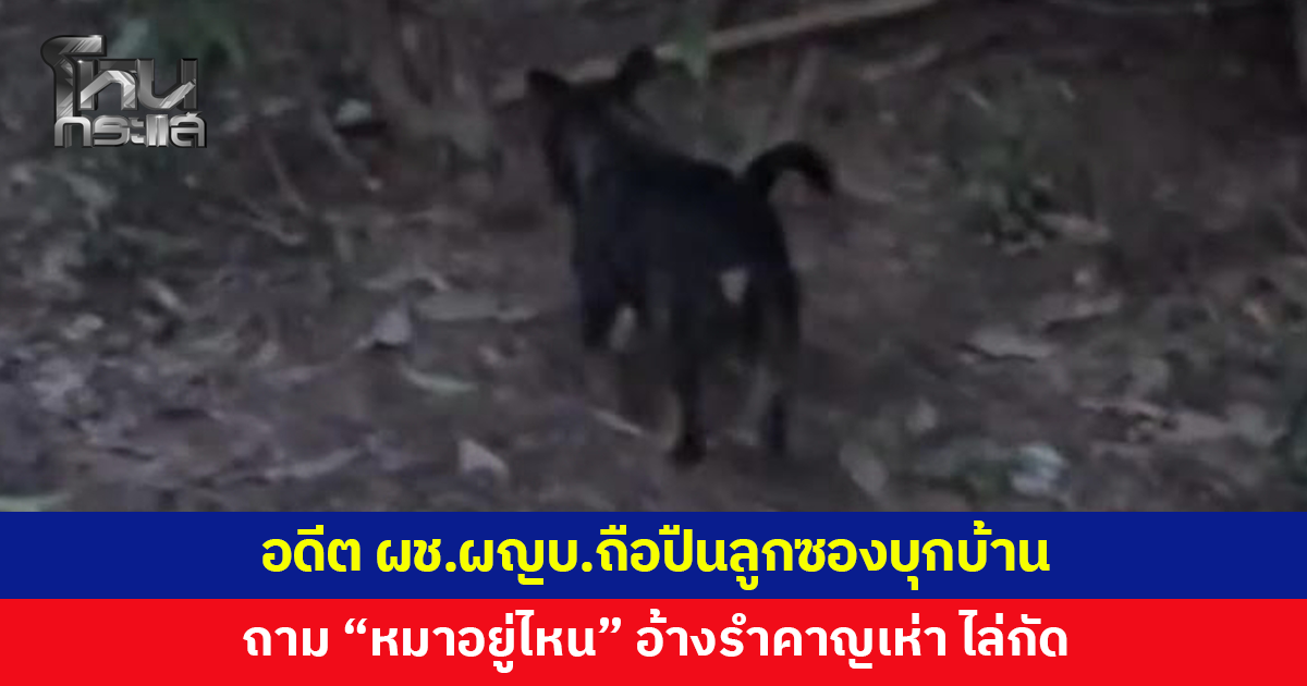 เจ้าของบ้านผวา! อดีตผู้ช่วยผู้ใหญ่บ้านถือปืนลูกซองบุกถาม "หมาอยู่ไหน" อ้างรำคาญเห่า ไล่กัด