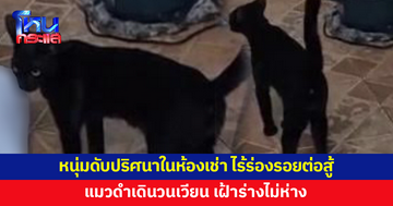 หนุ่มดับปริศนาในห้องเช่า แมวดำเดินวนเวียน เฝ้าร่างไม่ห่าง ข้างห้องเล่ามีหญิงมาส่งข้าวให้ ก่อนตะโกนบอกมีคนเสียชีวิต