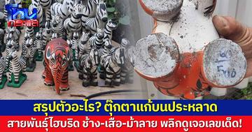 เจ้าที่มึน! ตุ๊กตาแก้บนประหลาด ไม่ใช่ทั้งช้าง-เสือ-ม้าลาย หลายคนเกิดสงสัยพลิกดู เจอเลขเด็ด