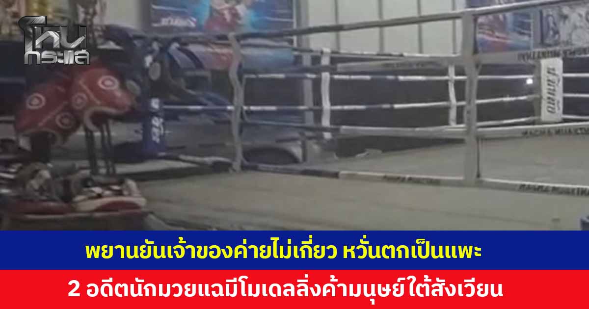 พยานยันเจ้าของค่ายมวยไม่เกี่ยว หวั่นตกเป็นแพะ ชี้ชนวนเหตุหักหลังเรื่องเงิน 2 อดีตเด็กค่ายมวยขอชน! แฉมีโมเดลลิ่งหักหัวคิว ส่งนักมวยค้ากามใต้สังเวียน