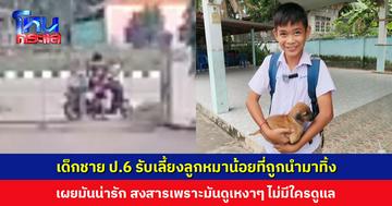 เด็กชาย ป.6 รับเลี้ยงลูกหมาน้อย หลังมีหญิงขี่ จยย. นำมาทิ้งรั้วโรงเรียน เผยมันน่ารัก แต่ดูเหงาๆ ไม่มีใครดูแล ส่วนอีกตัวคนขับรถตู้อุ้มไปเลี้ยง