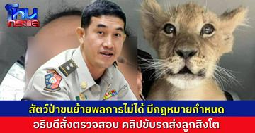 เอ้า โดนซะแล้ว! อธิบดีกรมอุทยาน สั่งสอบคลิปคนขับรถส่งลูกสิงโต ชี้ย้ายสัตว์ป่ามีกฎระเบียบกำหนดอยู่ ล่าสุดต้นทางลบโพสต์แล้ว
