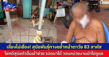 สุนัขพันธุ์ทางขย้ำหน้าคุณตา 83 สาหัส โชคดีสุนัขตัวอื่นเข้าช่วย รอดมาได้ เผยตัวนี้ดุสุดในฝูง วอนหน่วยงานนำไปดูแล