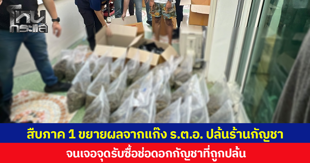 สืบภาค 1 ขยายผลจากแก๊ง ร.ต.อ. ปล้นร้านกัญชา จนเจอจุดรับซื้อช่อดอกกัญชาที่ถูกปล้น