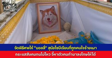 สุดเศร้าจัดพิธีศพส่งสุนัขไซบีเรียน "มอลลี่" เหยื่อคนร้ายจุดไฟเผา หลังทนพิษบาดแผลไม่ไหวเสียชีวิตอย่างสงบ ด้านสังคมจี้ตำรวจเร่งล่าตัวผู้กระทำผิดมาลงโทษตามกฎหมาย
