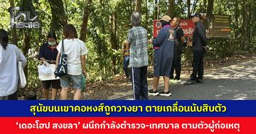 สะเทือนใจ... สุนัขบนเขาคอหงส์ถูกวางยา ตายเกลื่อน